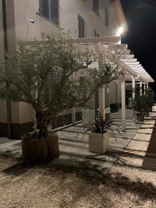 CI SONO LUOGHI