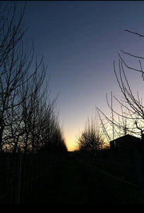 PERCHE' NELLA NOTTE