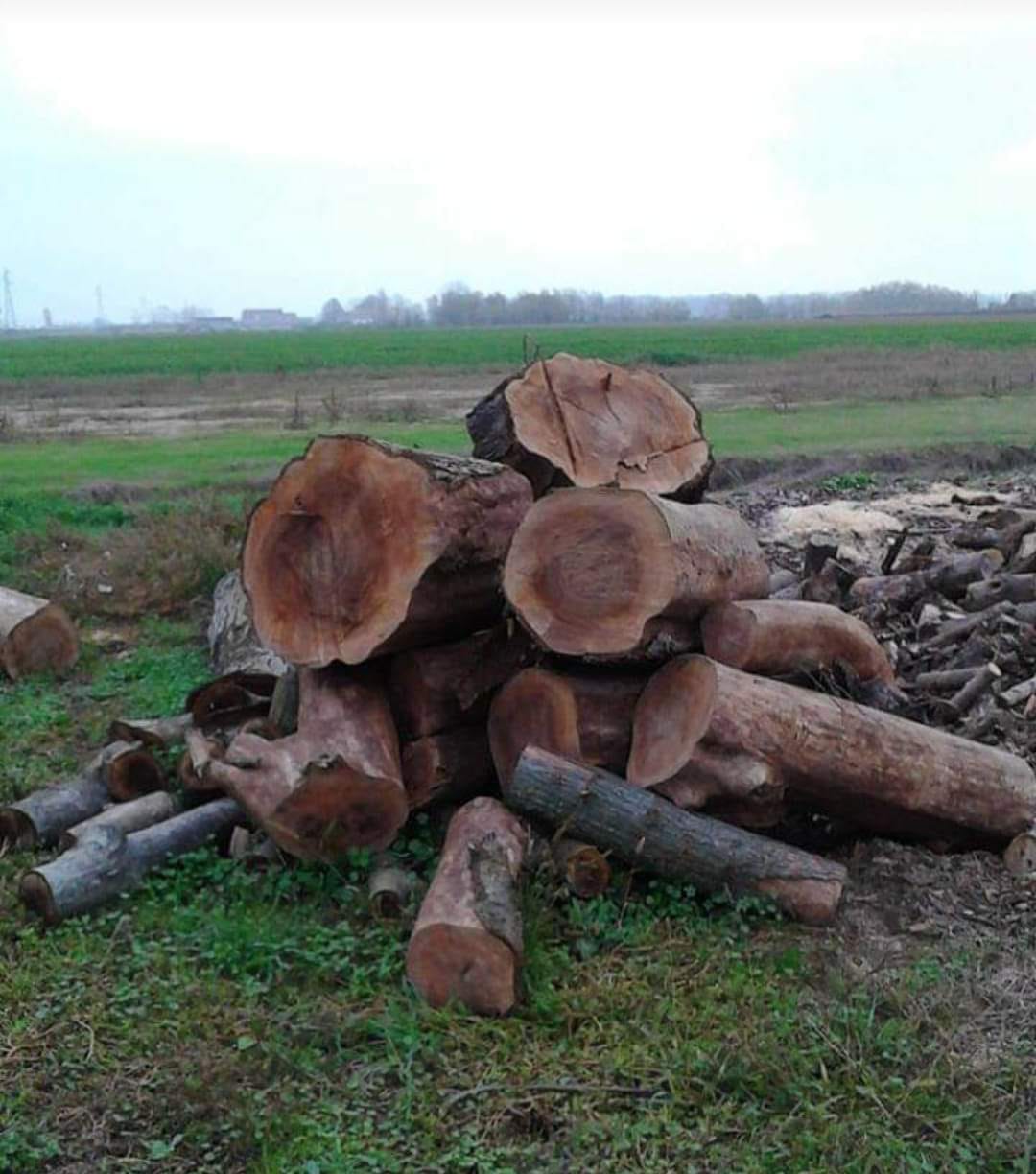 IL CALORE DELLA LEGNA