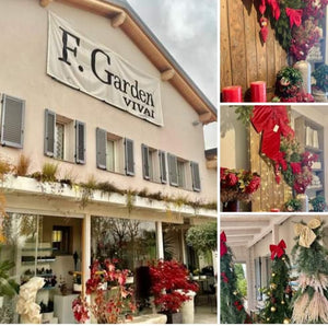IL PARADISO DI F. GARDEN