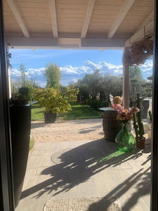 LUCE DEL POMERIGGIO