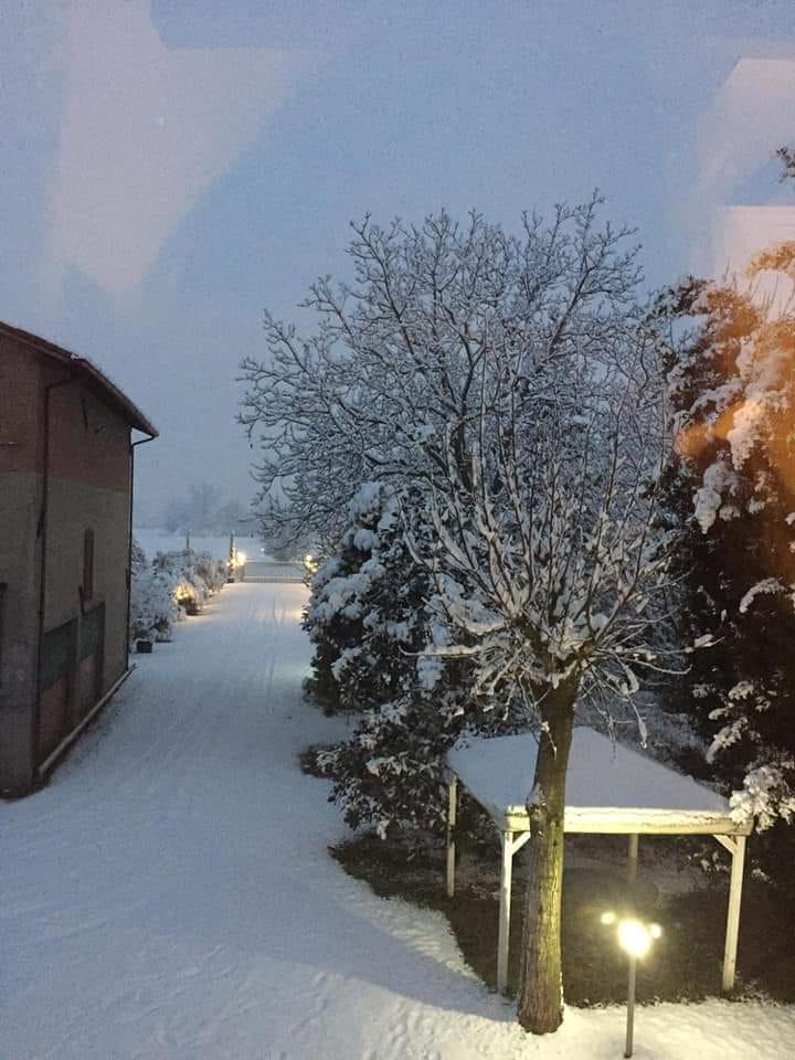 La neve si appiccica alle stelle