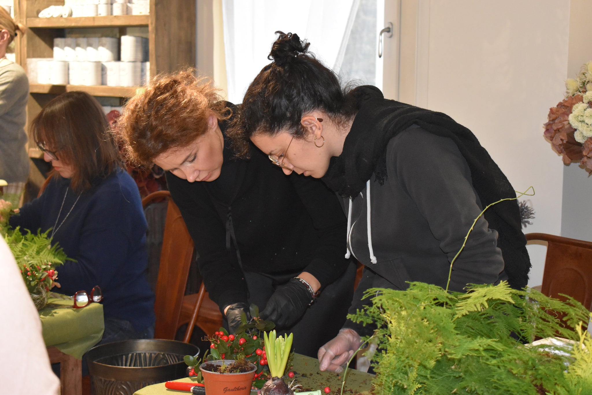 Laboratorio di Kokedama - Sabato 16 Dicembre