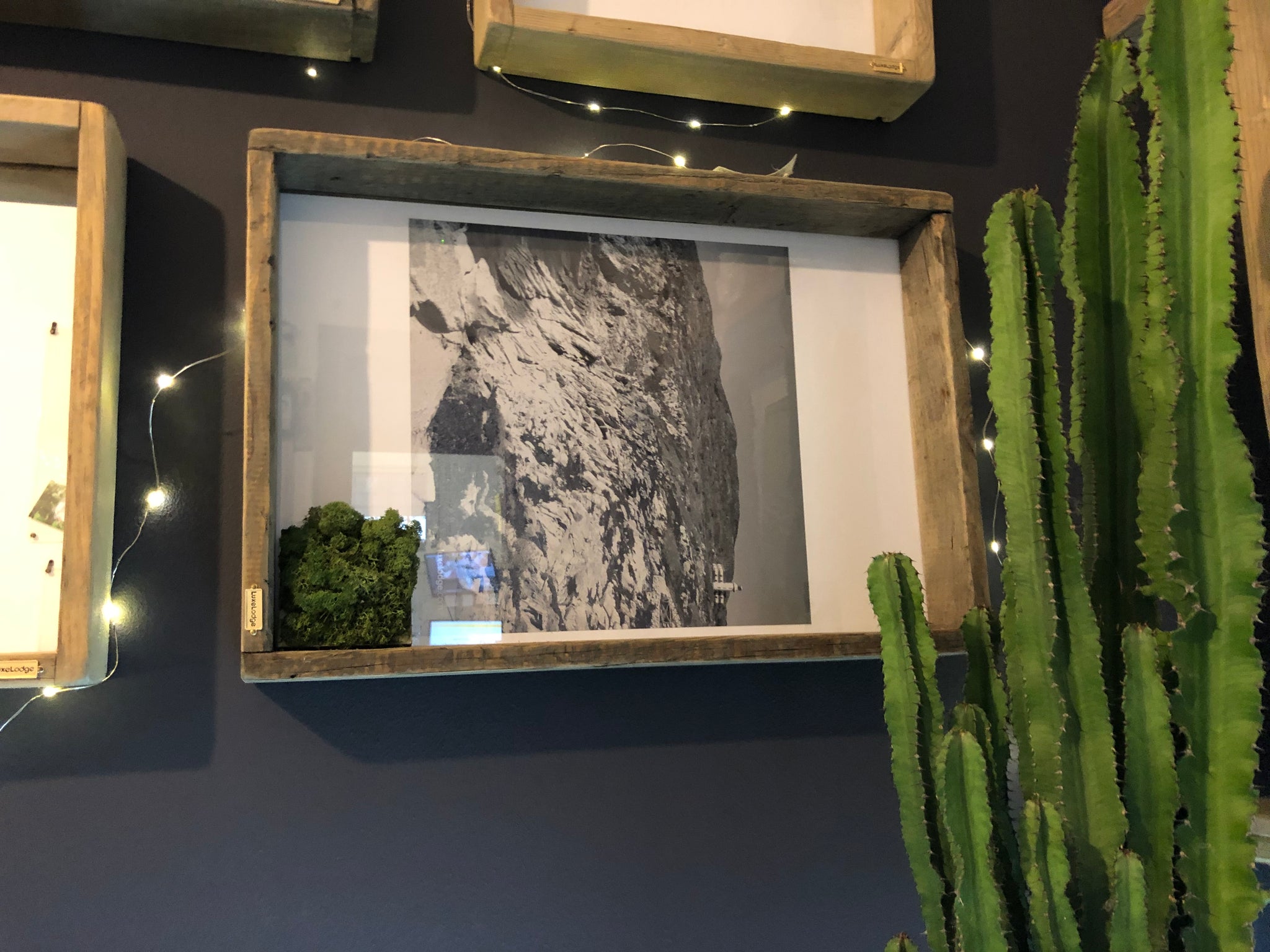 Quadro con cornice 60x40 brunita