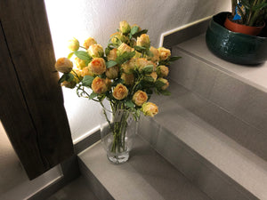 Rosa - bocciolo