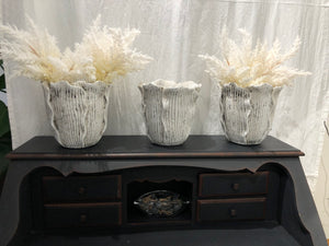 Albelia white