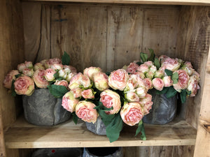 Peonia - mazzo