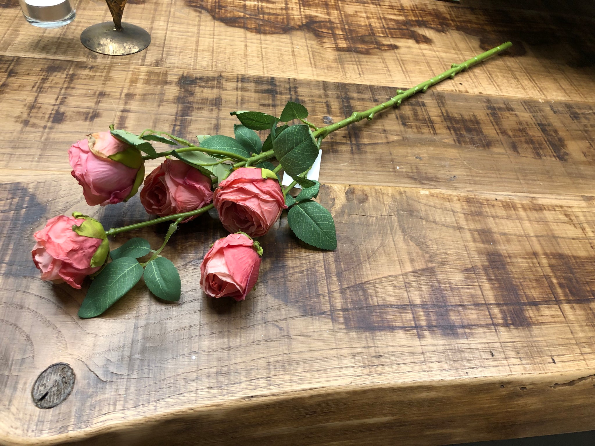 Rosa - bocciolo