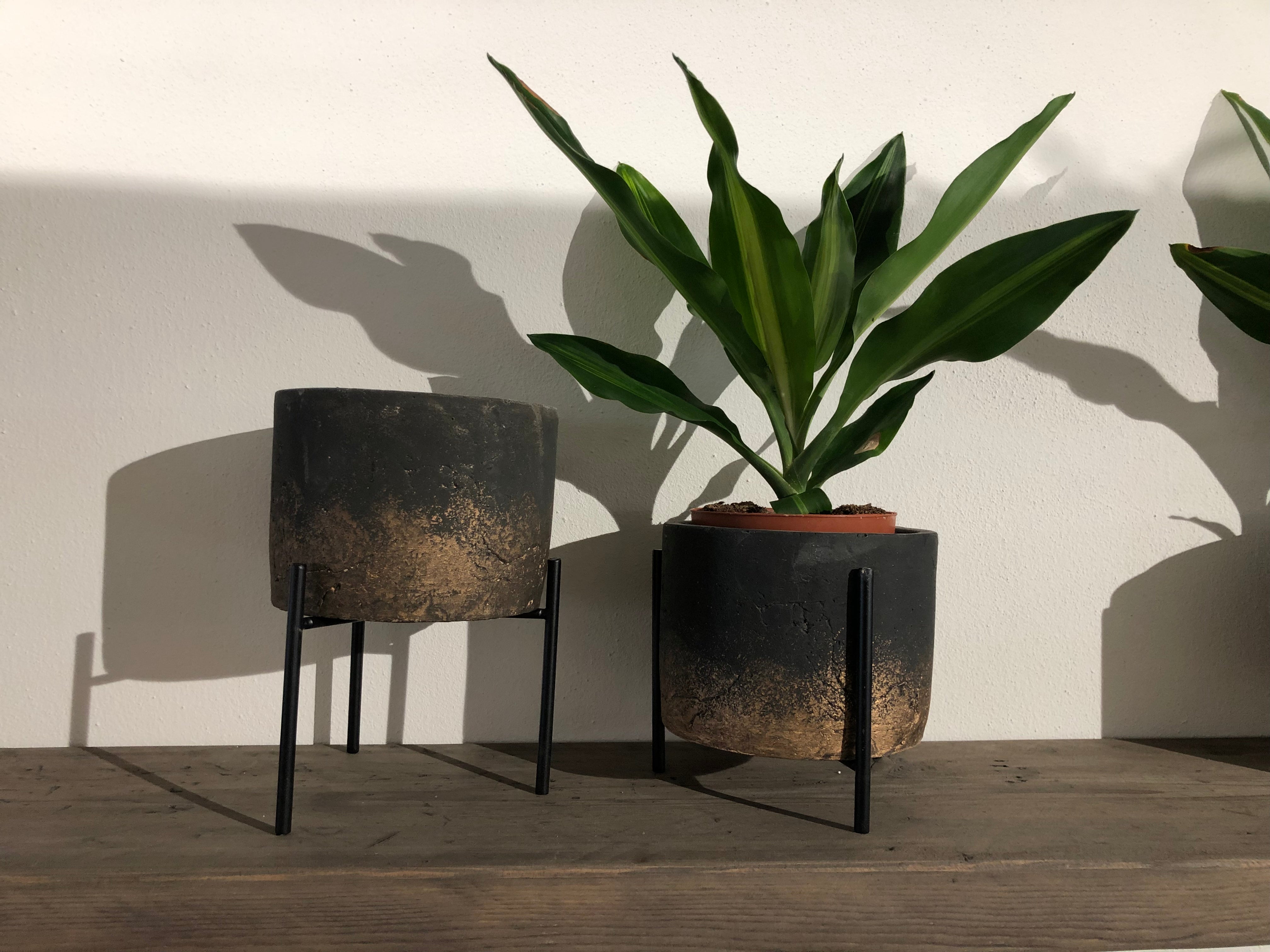 Aimy grey gold cement pot on iron base round