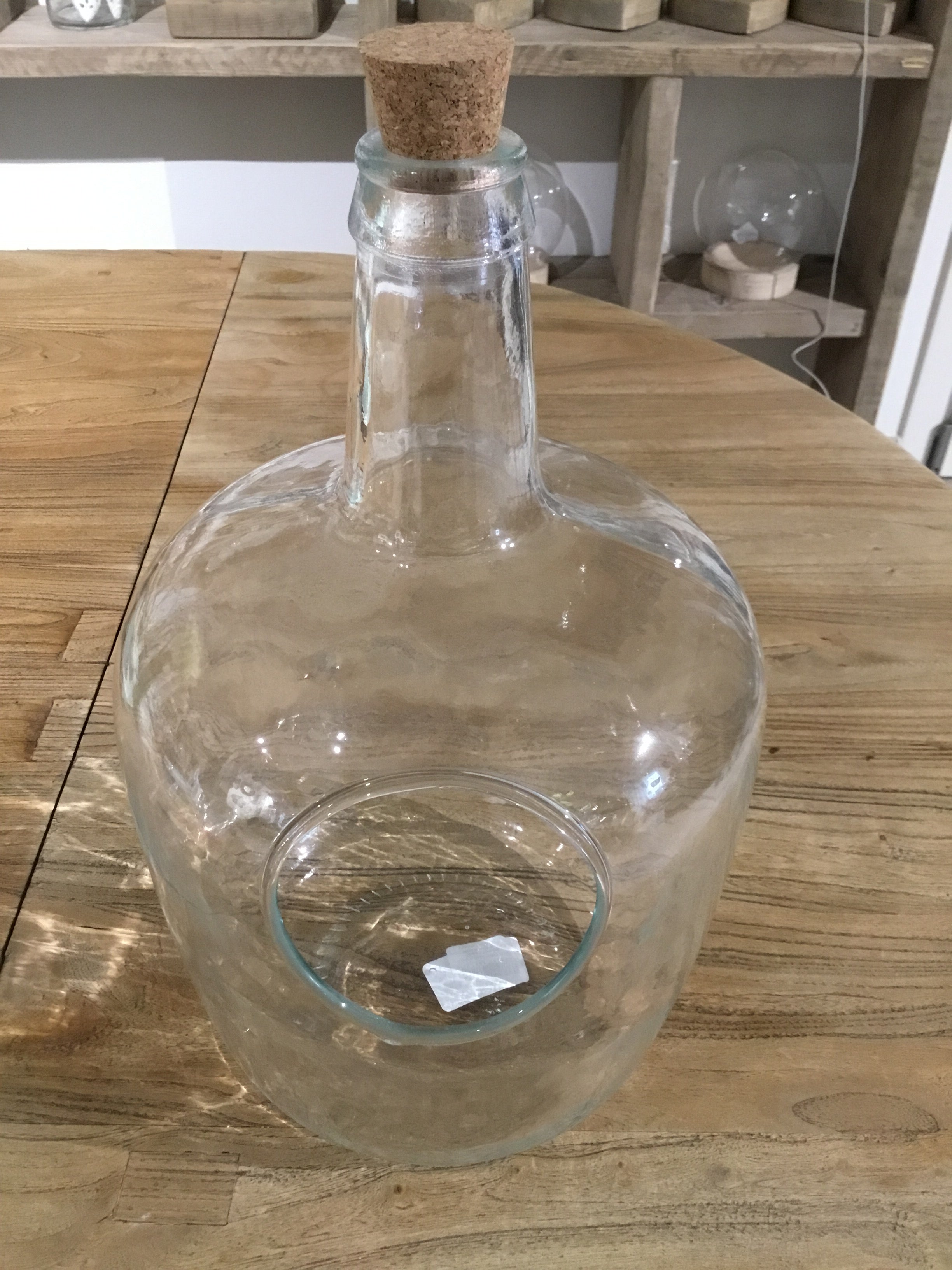 Bottiglia in vetro per terrarium