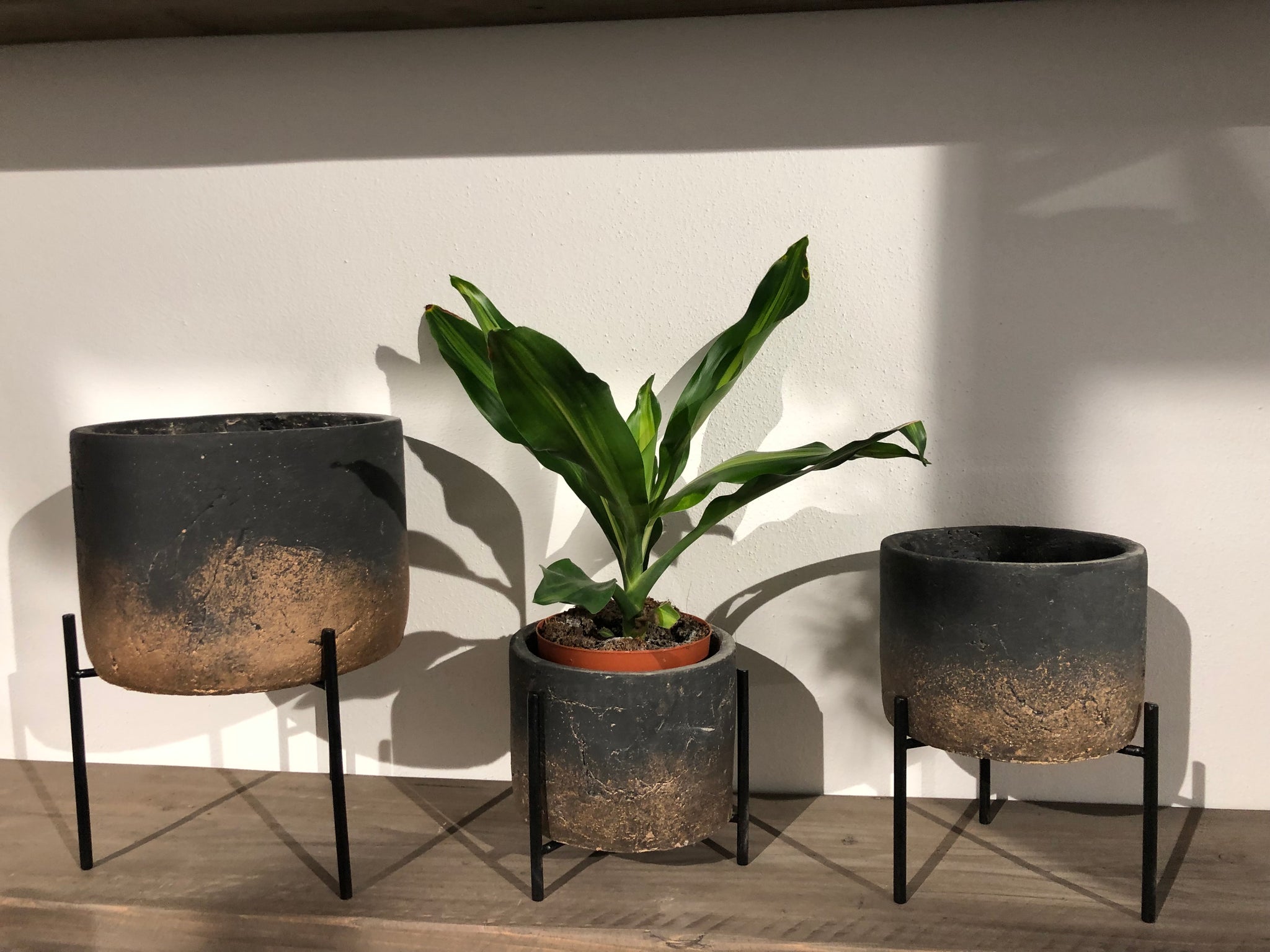 Aimy grey gold cement pot on iron base round