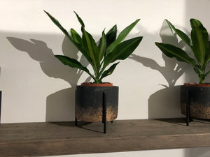 Aimy grey gold cement pot on iron base round
