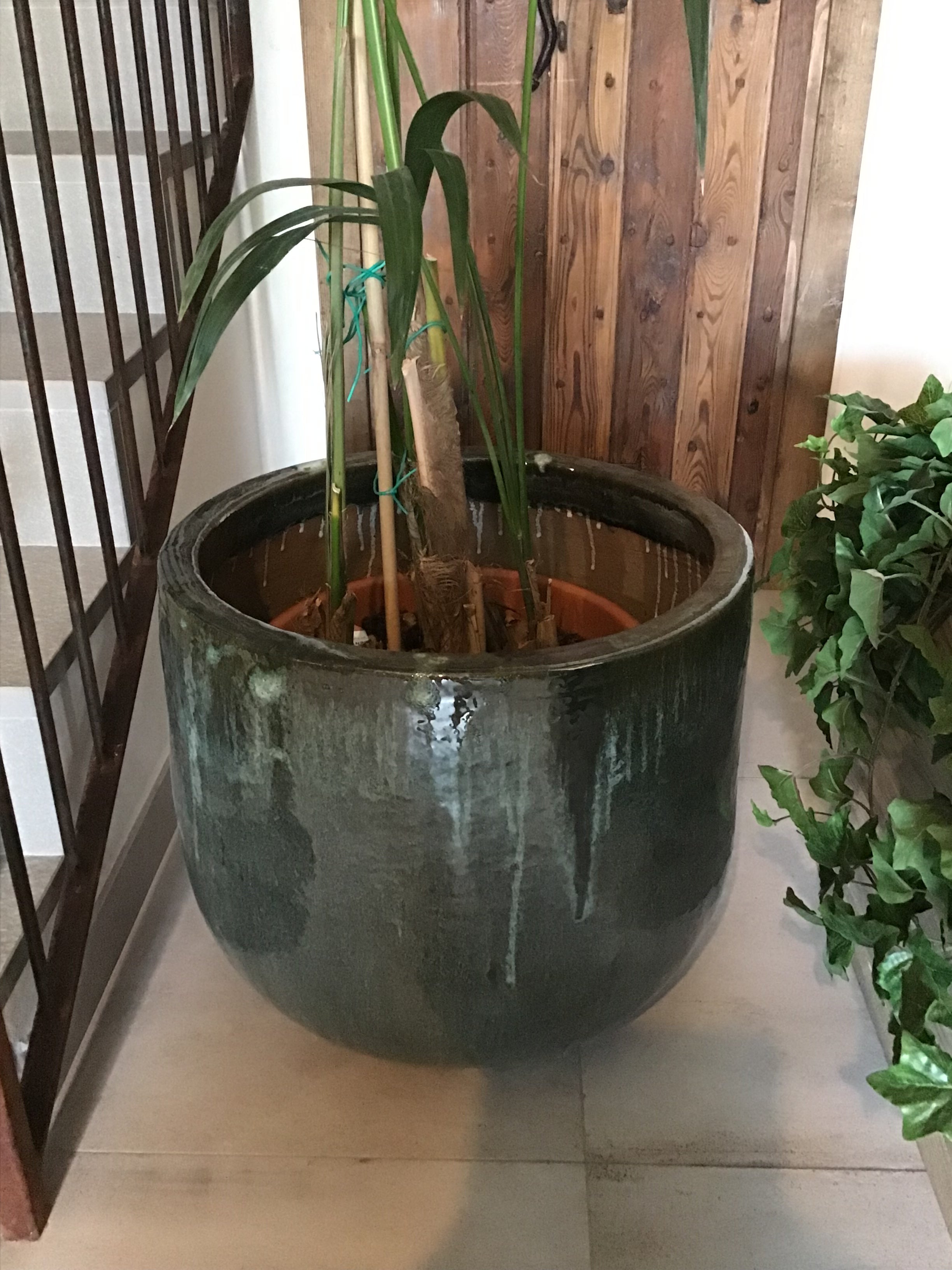 Vaso Davon Dark Green L ceramica