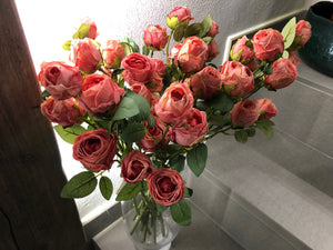 Rosa - bocciolo