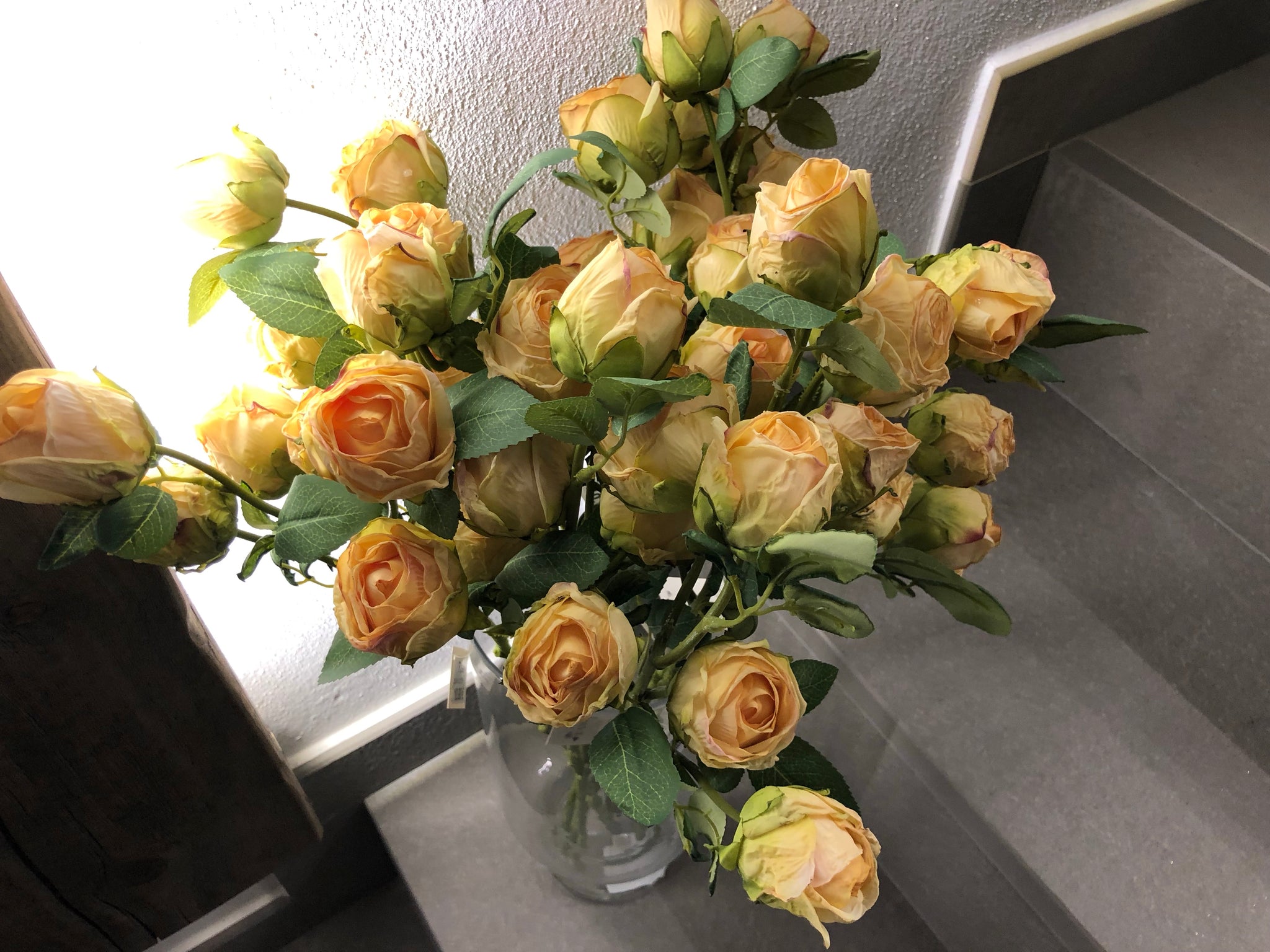 Rosa - bocciolo