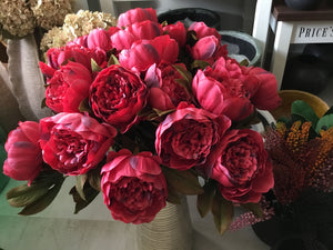 Autunno peonia