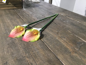Calla piccola