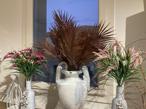 Fern plant dark brown fern spray