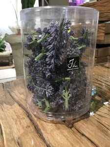 Scatola fiori lavanda