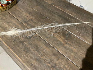 Dried flower white peacock feather