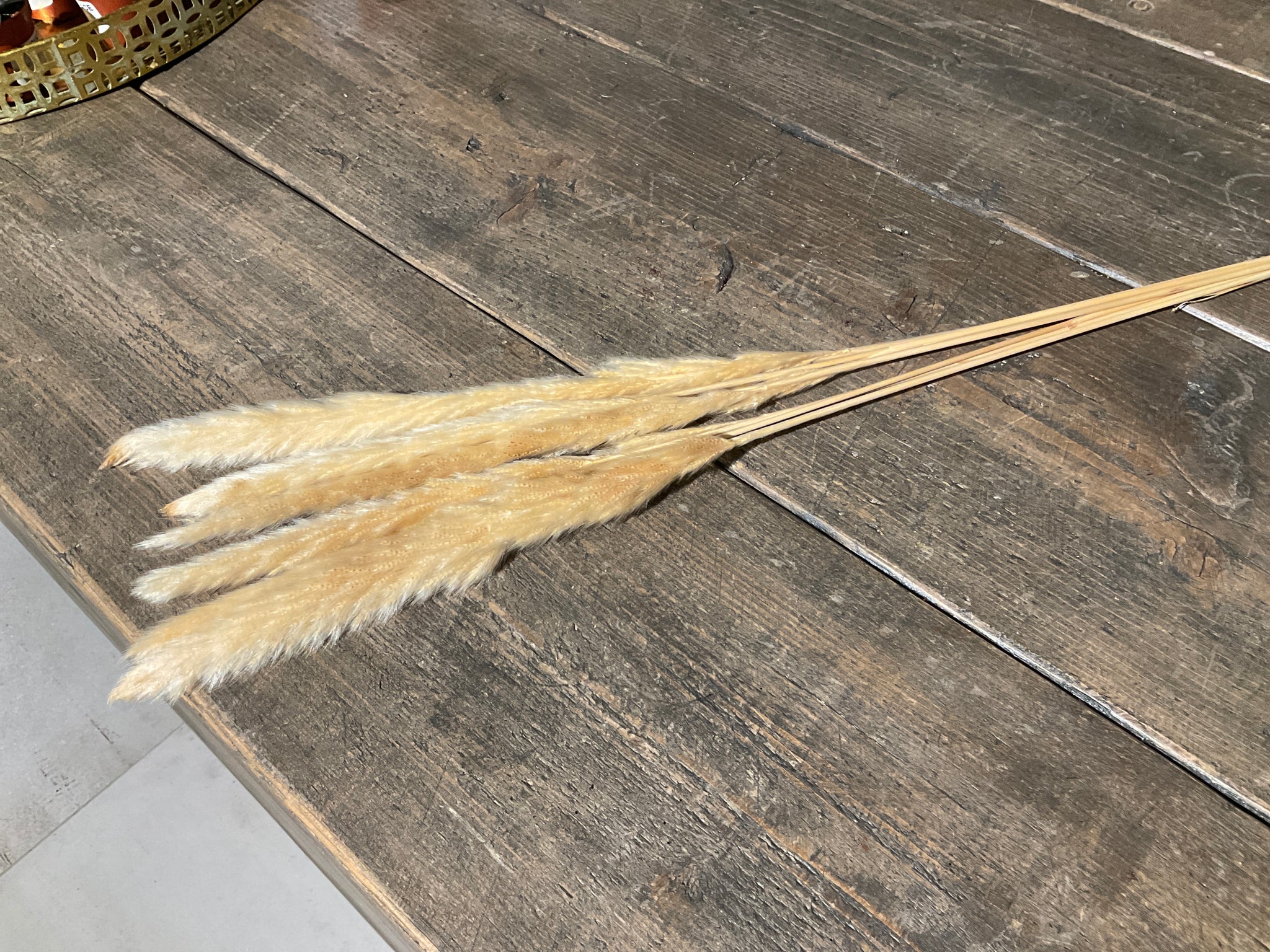 Dried twing cream pampas grass small 6pcs