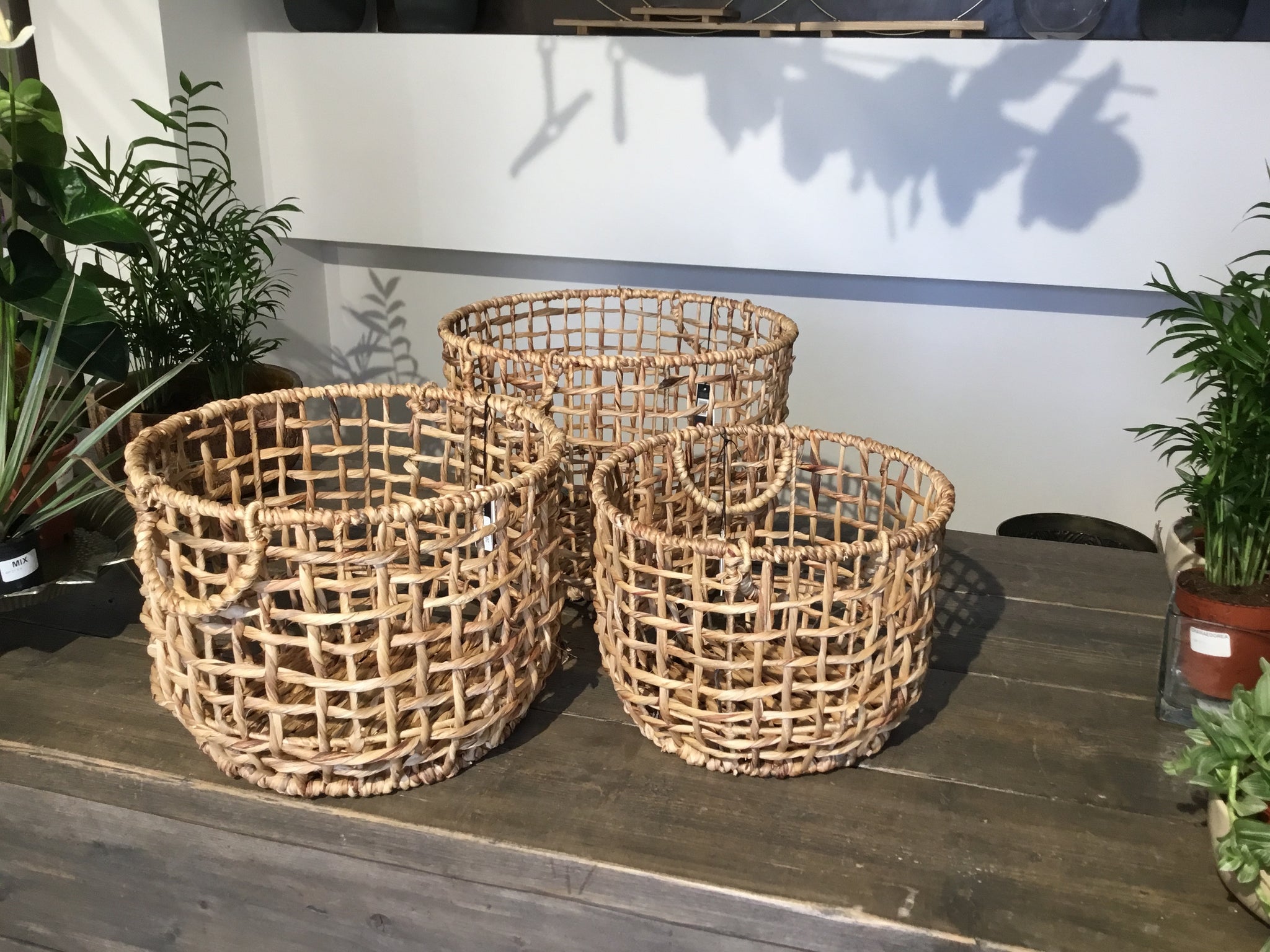 S/3 cesti intrecciati