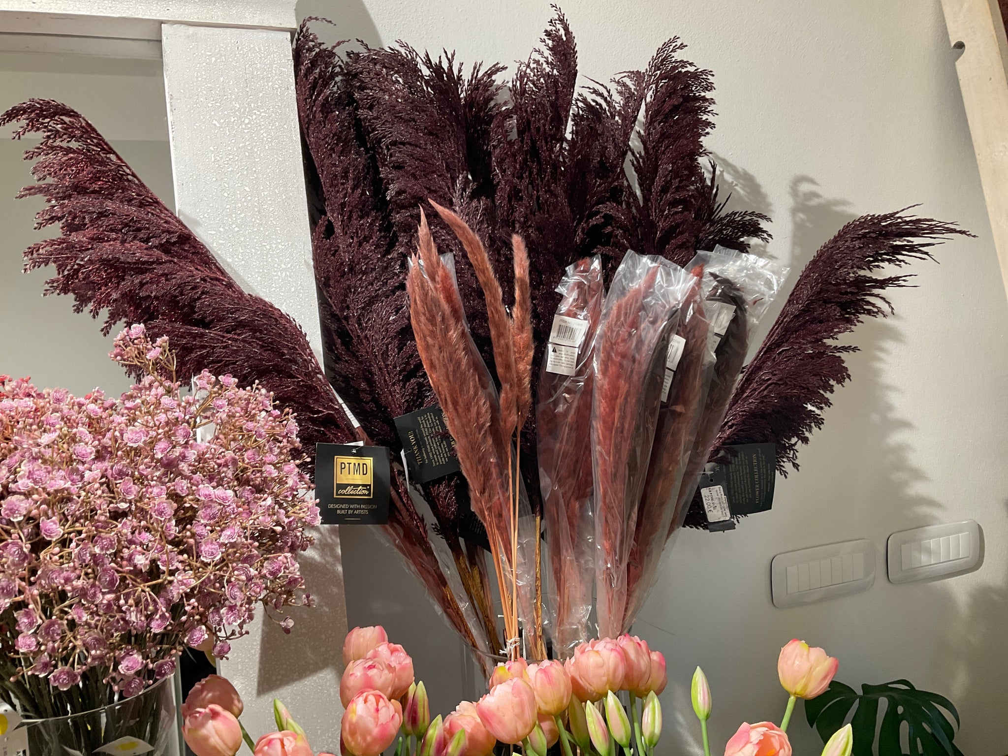 Dried twig red brown pampas grass small 6PCS