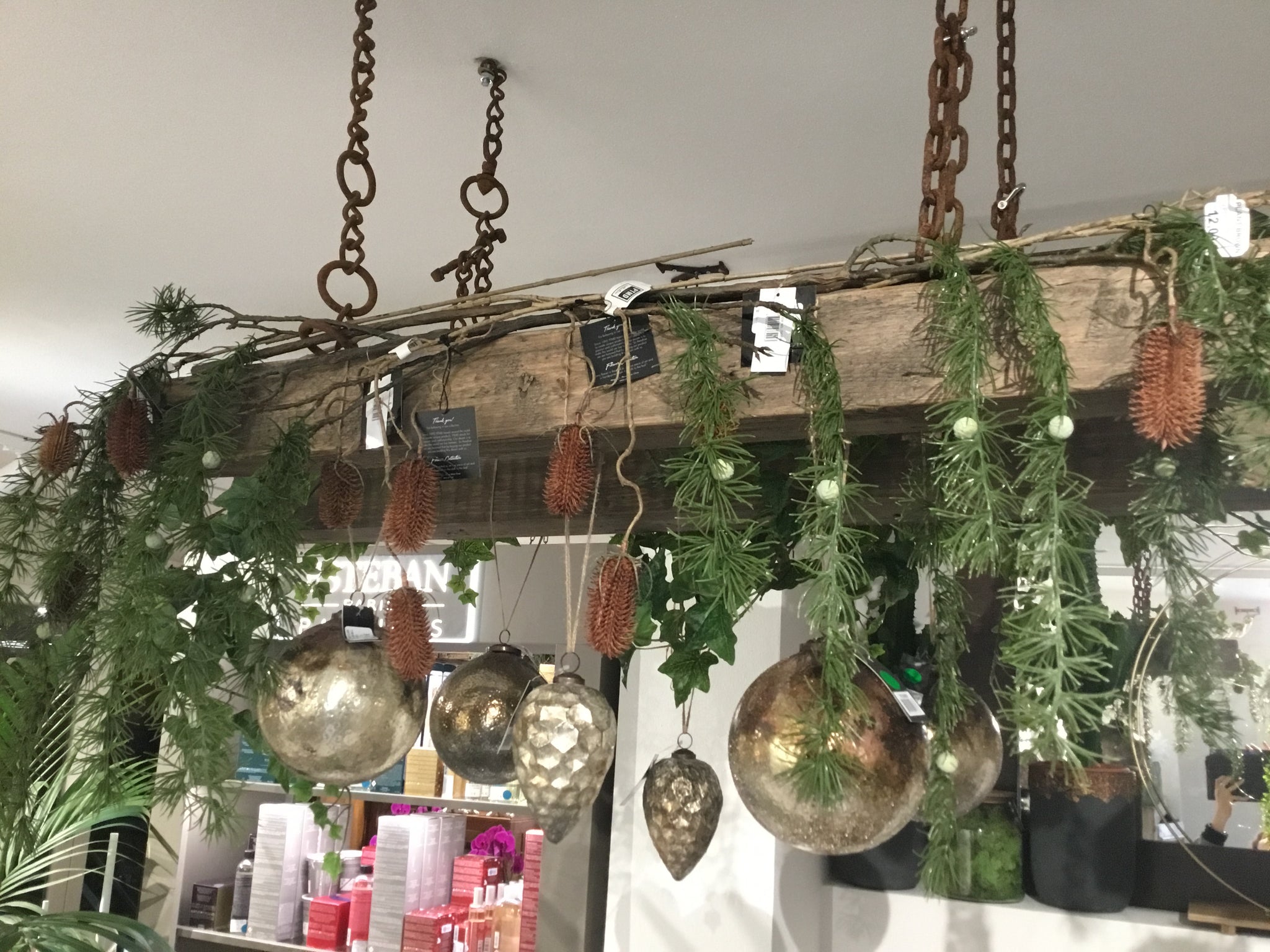 Plant brown