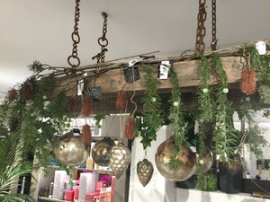 Plant brown