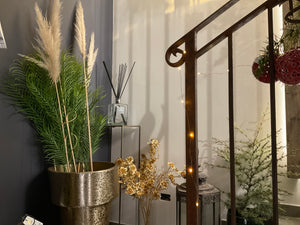Fern plant green Cycas leaf spray