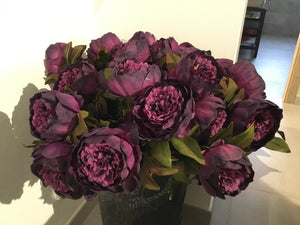Autunno peonia