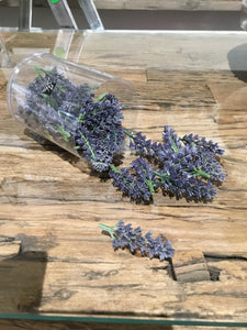 Scatola fiori lavanda