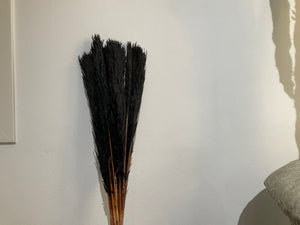 Dried twing black natural grass