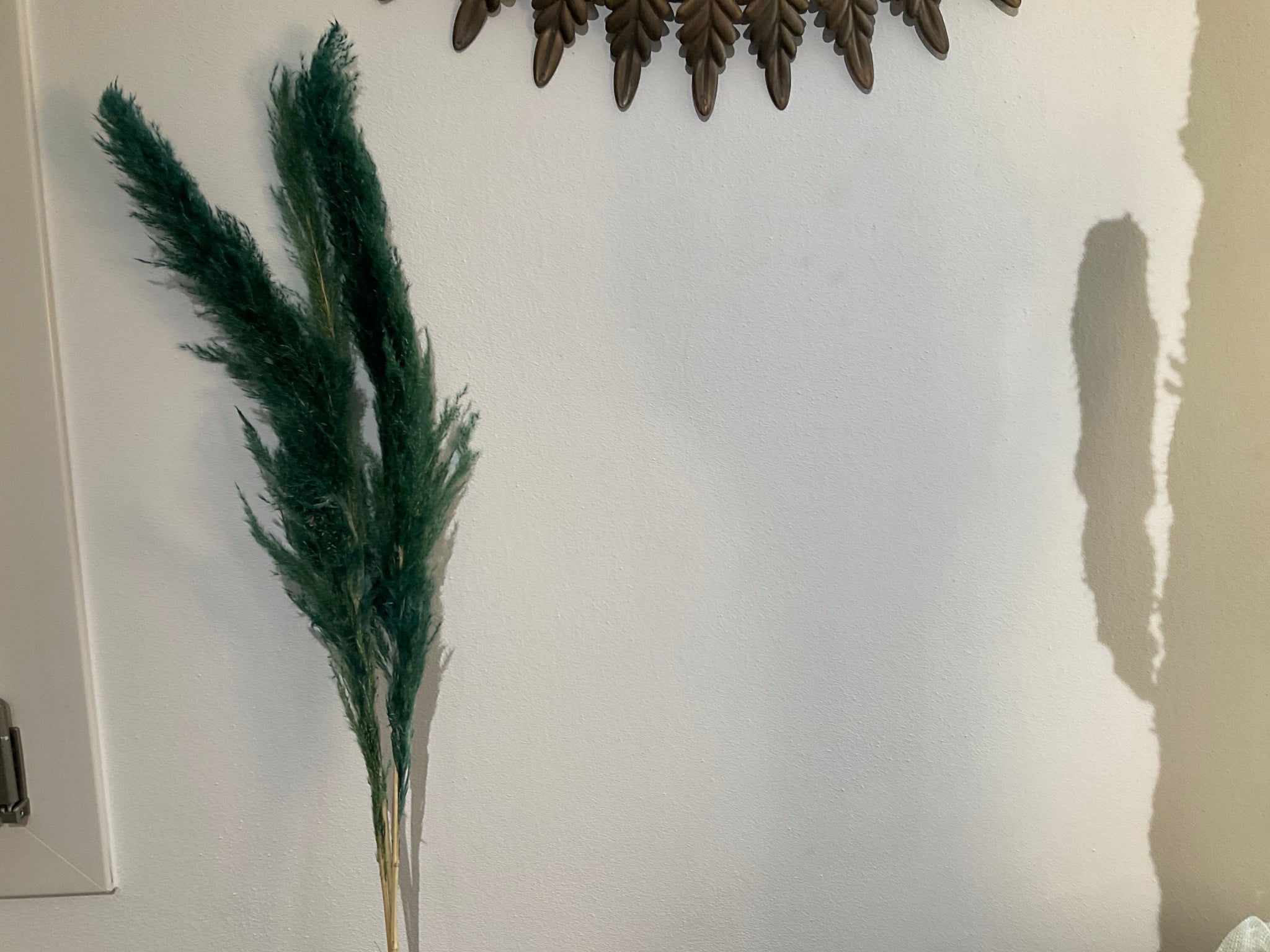 Dired twing pacific blue pampas grass long 3pcs