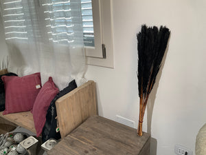 Dried twing black natural grass